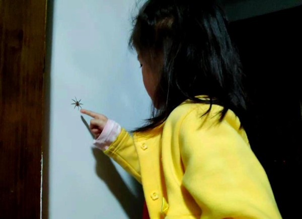 引导孩子探索自然奥秘的多重方法