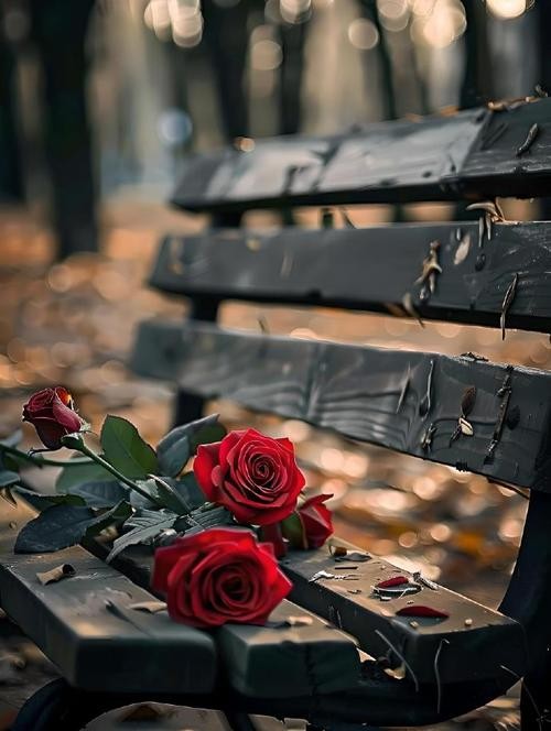 懂得:挽回中需要注意感情平衡点