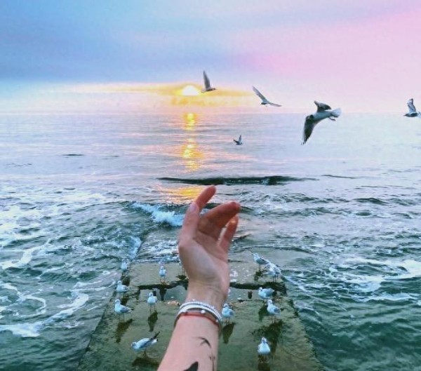 内心的双重性格:如何达到情感与理智的平衡