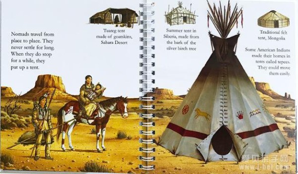 神奇科普书之手电筒系列：神奇胶片书 Human Life 6册