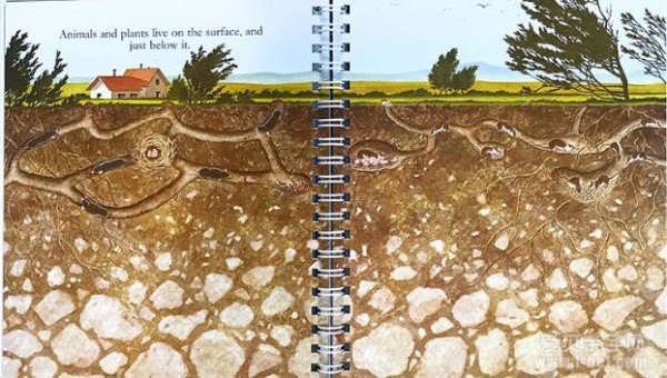 神奇科普书之手电筒系列：神奇胶片书 Human Life 6册