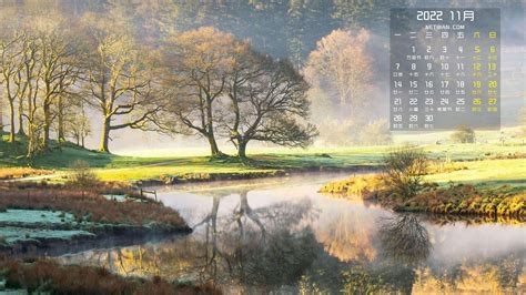 云顶之弈开摆的诱惑