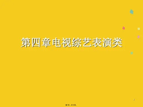 电视综艺表演类(共10张PPT)