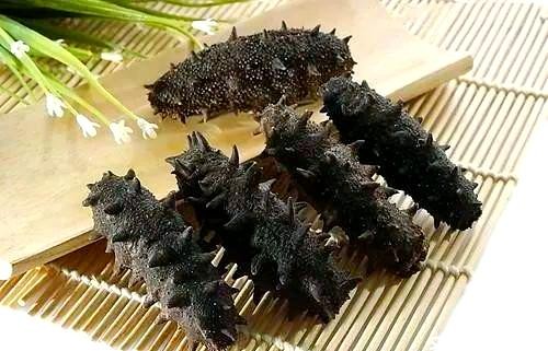 海参四季健康指南：轻松应对季节变换