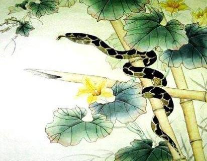 精神世界富有，生活快乐充实的3个生肖，日子不难熬，贫穷不再来