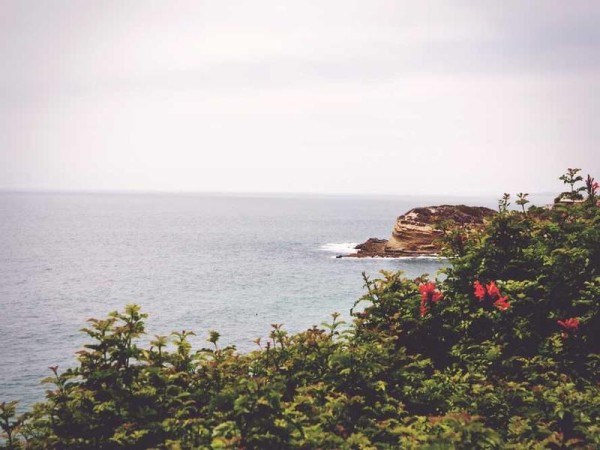 视觉传达设计作品集简历模板精选（含极简免费模板669款）| 精选1篇范文参考