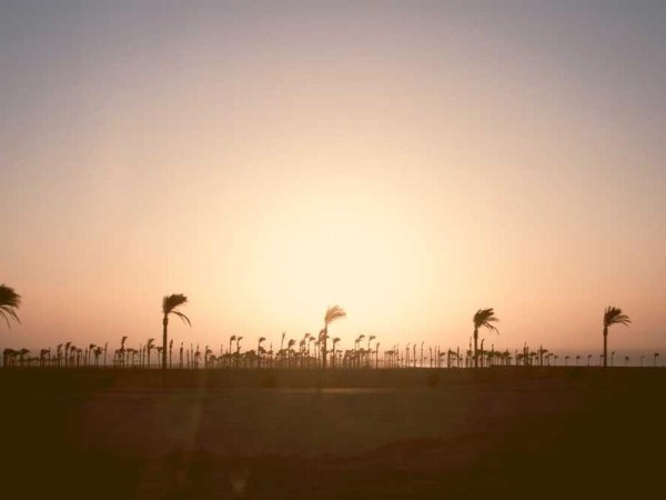 视觉传达设计作品集简历模板精选（含极简免费模板669款）| 精选1篇范文参考