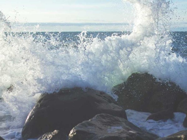 视觉传达设计作品集简历模板精选（含极简免费模板669款）| 精选1篇范文参考