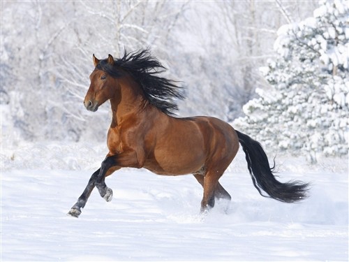 忙碌而充实的说说