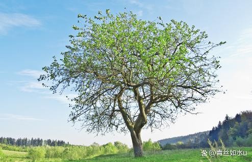 别再混淆了，12个月的正确春夏秋冬划分方法大公开