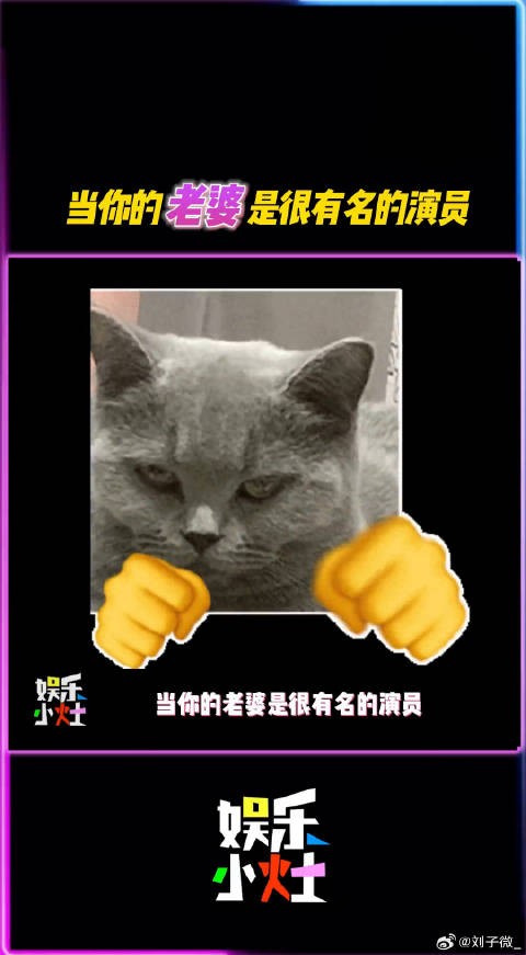 海关小哥:就你tm把我女神娶走了是吧?微博VC计划