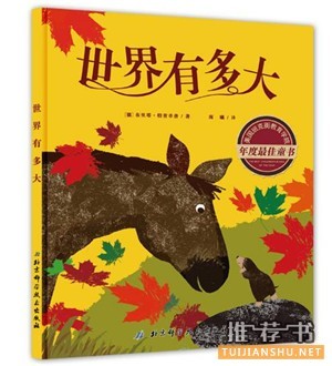 如何培养孩子的自信心?5本自信成长的绘本图书推荐