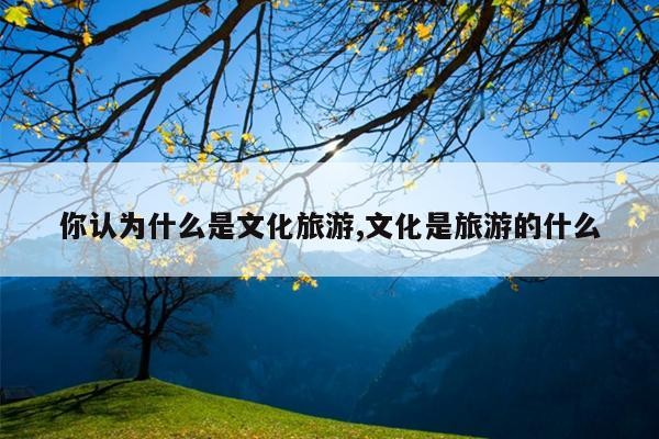 你认为什么是文化旅游,文化是旅游的什么