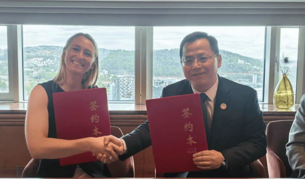 NYO3七载深耕进博谱写全球化合作新篇