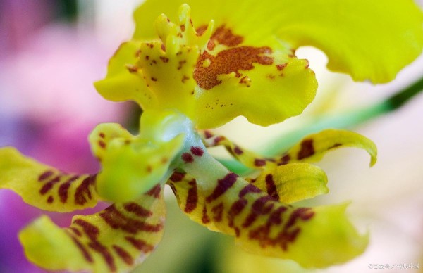 一年四季春夏秋冬,需要注意的小知识