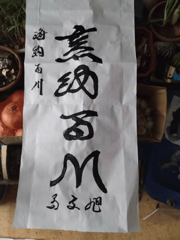 马文旭书法海纳百川