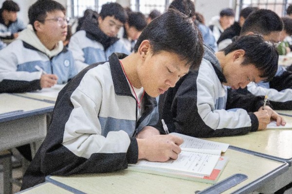 当生活被训练填满，屏幕就失去了吸引力