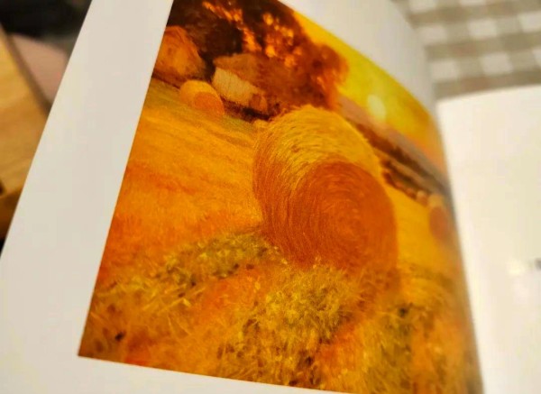 2025年阅读计划：探索自我提升与思维重构之路