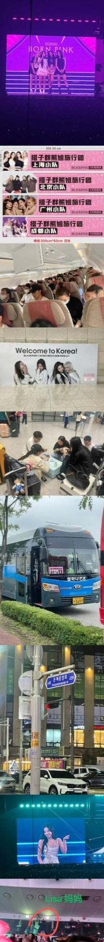 旅行见闻，治愈之旅