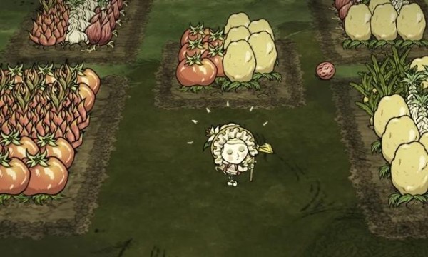 饥荒联机版四季巨大作物种植搭配参考