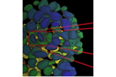 徕卡leica Aivia图像分析 徕卡人工智能显微成像分析软件_Leica AIVIA_样本、参数、价格、应用案例、免费试用账号