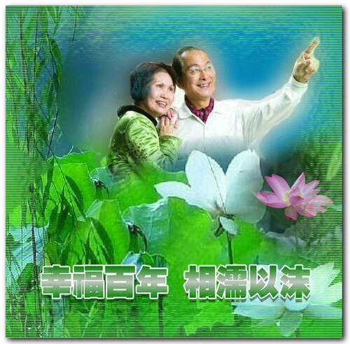 老年人的十大乐趣 (精美图文) - 美琪 - 美琪的博客