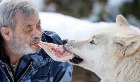 难以置信的十种宠物 | 这10种生物居然真的有人会当宠物养!