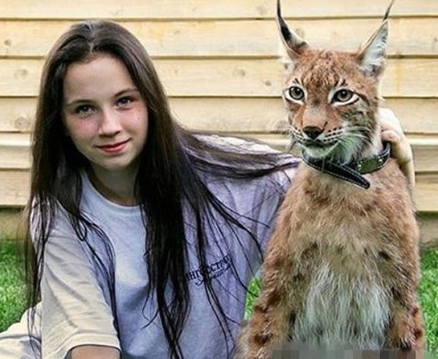 难以置信的十种宠物 | 这10种生物居然真的有人会当宠物养!