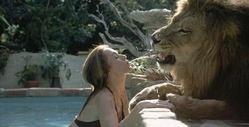 难以置信的十种宠物 | 这10种生物居然真的有人会当宠物养!