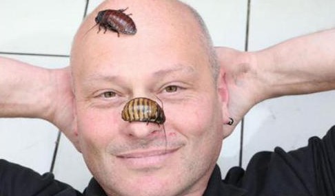 难以置信的十种宠物 | 这10种生物居然真的有人会当宠物养!