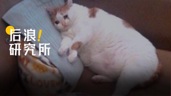 年轻人社交真相：有多少「伪社恐」在逃避社交？