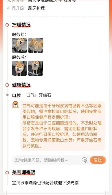 宠物家携手腾讯云接入DeepSeek，全新升级AI健康助手护航宠物健康