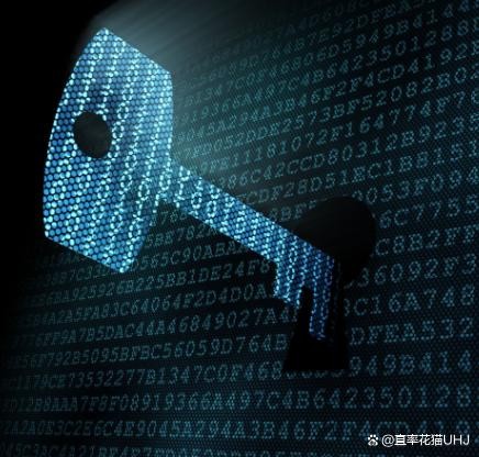 智慧生活，触手可及：网络如何重塑我们的日常？