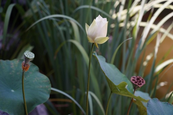 网络给生活带来的20条好处