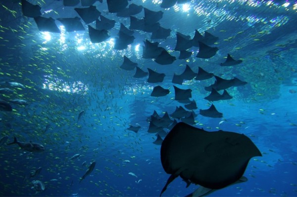 亲子游合适去什么地方？国内外亲子游线路推荐