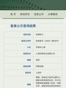 十大中国大陆电影排行榜之乔妍的心事