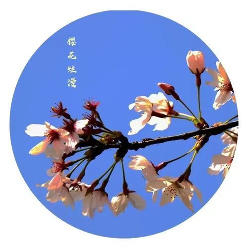 影视作品推荐:热门与新近佳作一览