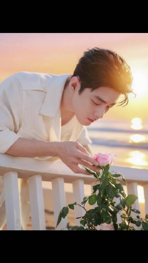 肖战漫步林野间享受香芬休闲时光