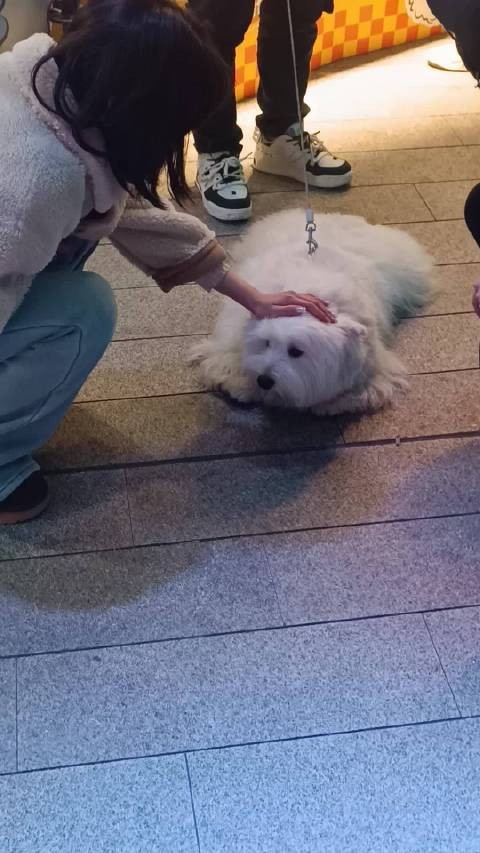 移花十二月成员分享音乐节趣事，提醒粉丝注意保暖