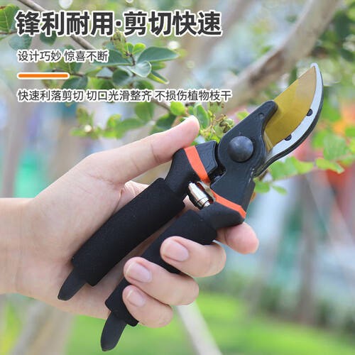 提升园艺体验，尽在金鹰SK5粗枝园艺剪！
