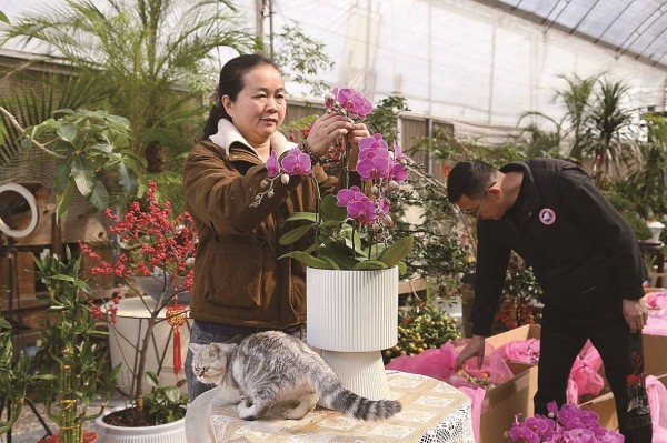 园艺师：让花儿以最美的姿态扮靓生活