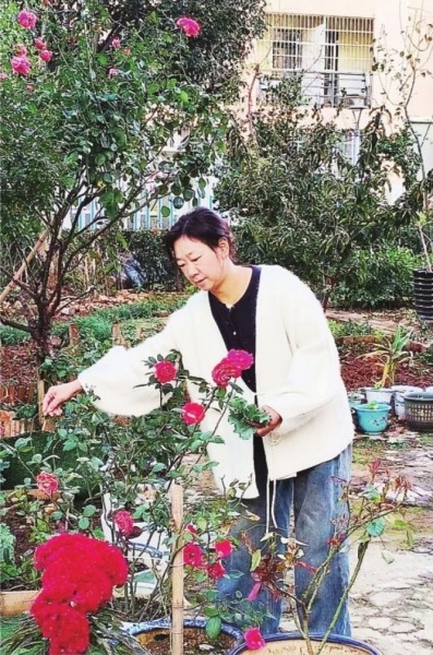 创“舒心”花园 享园艺慢生活