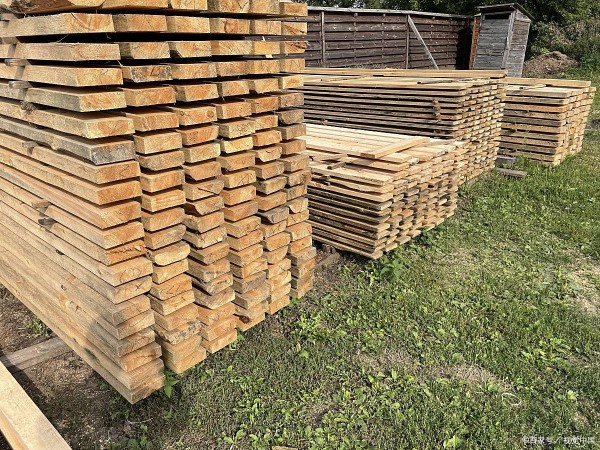 环保家居：打造绿色生活的8个小窍门