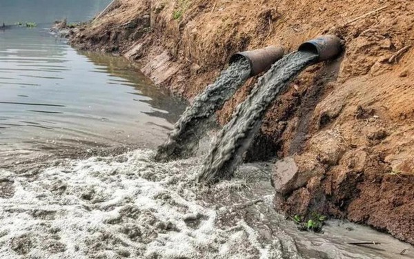 绿色生活小妙招：节能减排，保护地球