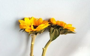 节约环保的方法有哪些