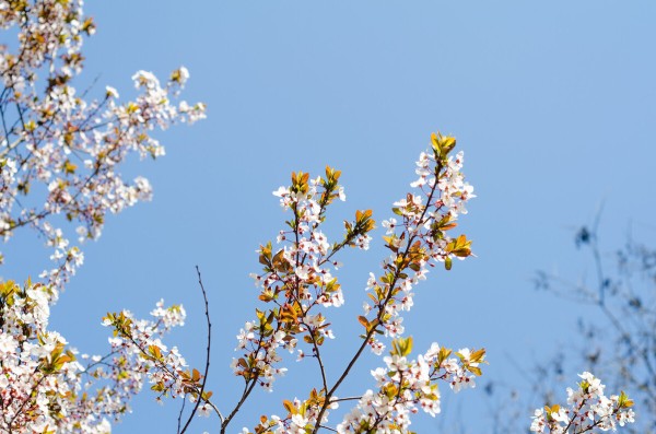 生活方便小妙招