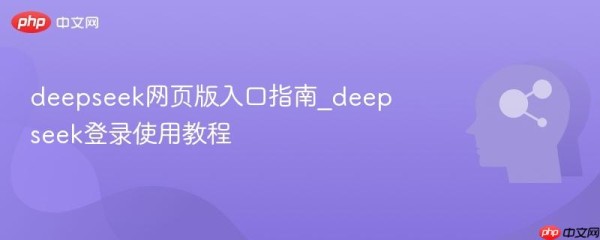 deepseek网页版入口指南