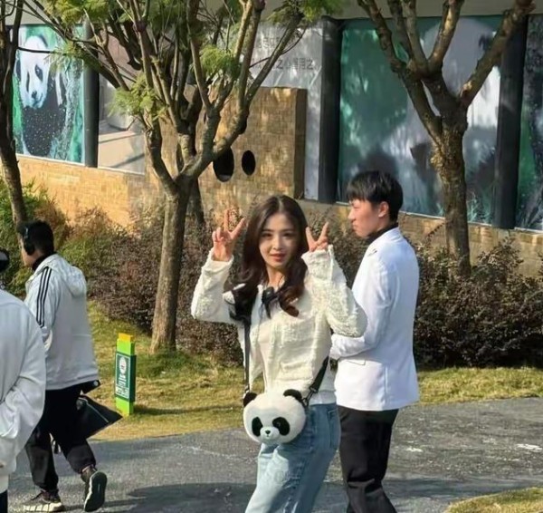 张含韵回成都看熊猫,本人穿小香风皮卷发 看起来像大学生一样甜美