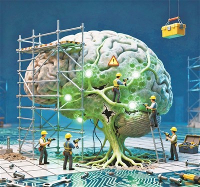 你的大脑一生有四次“内部大装修”