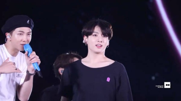 都藏起来！ 完全小兔子